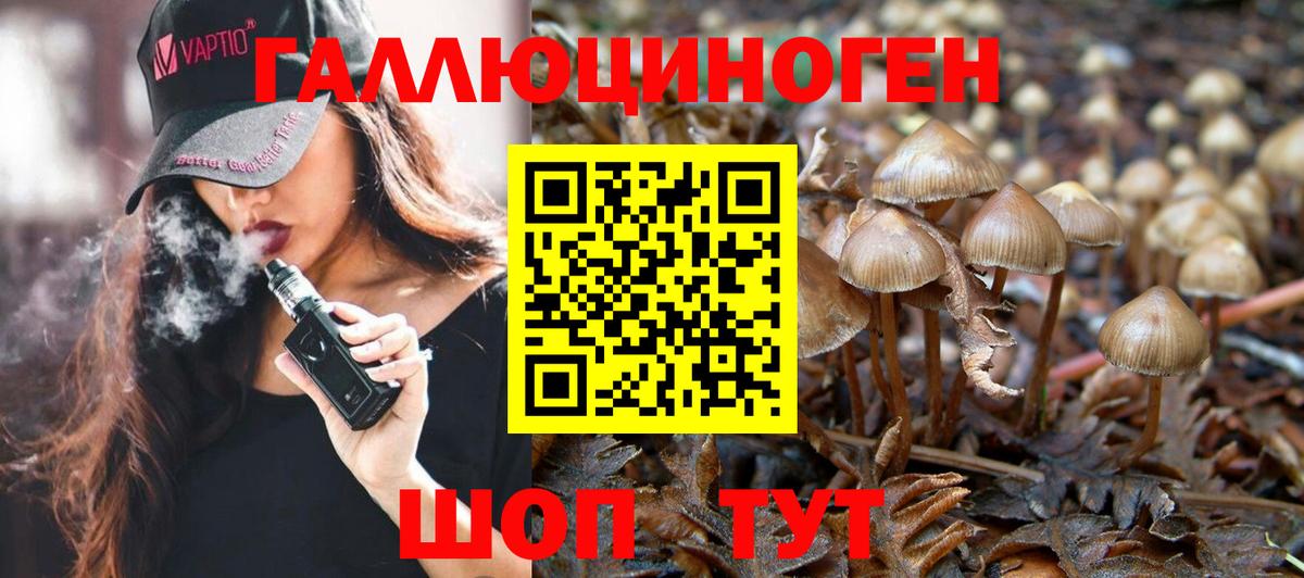 Псилоцибиновые грибы Magic Shrooms Великие Луки